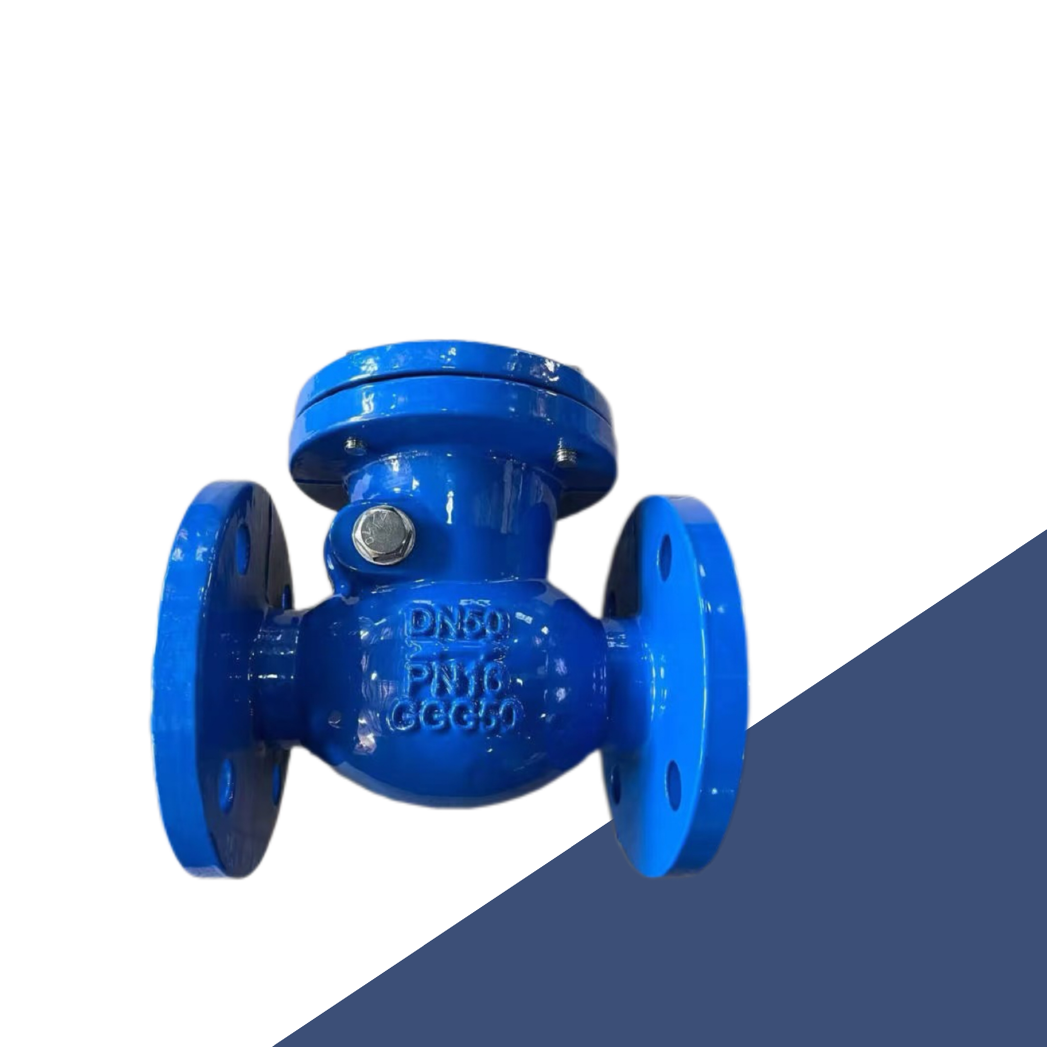 Check Valve Check Valve