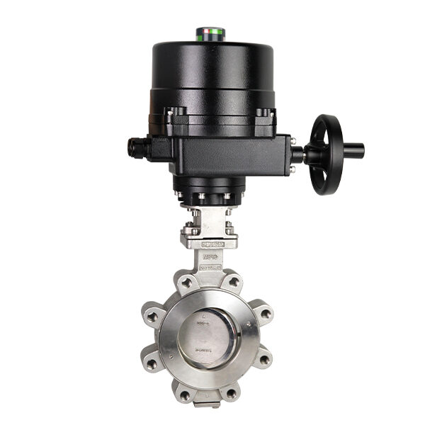 Lug Type Double Eccentric High-Performance Butterfly Valve CB0002