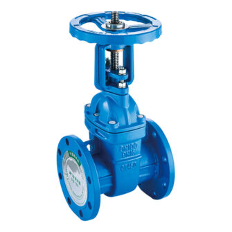 Z41T-16Q Rising Stem Protective Gate Valve