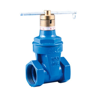 Threaded Magnetic Encryption Gate Valve